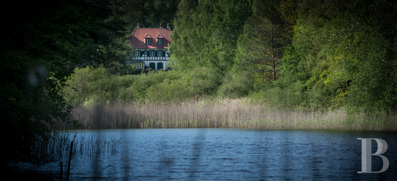 Dans les Vosges du Nord,  un ancien pavillon de chasse du 19e siècle transformé en confortable maison alsacienne traditionnelle - photo  n°4